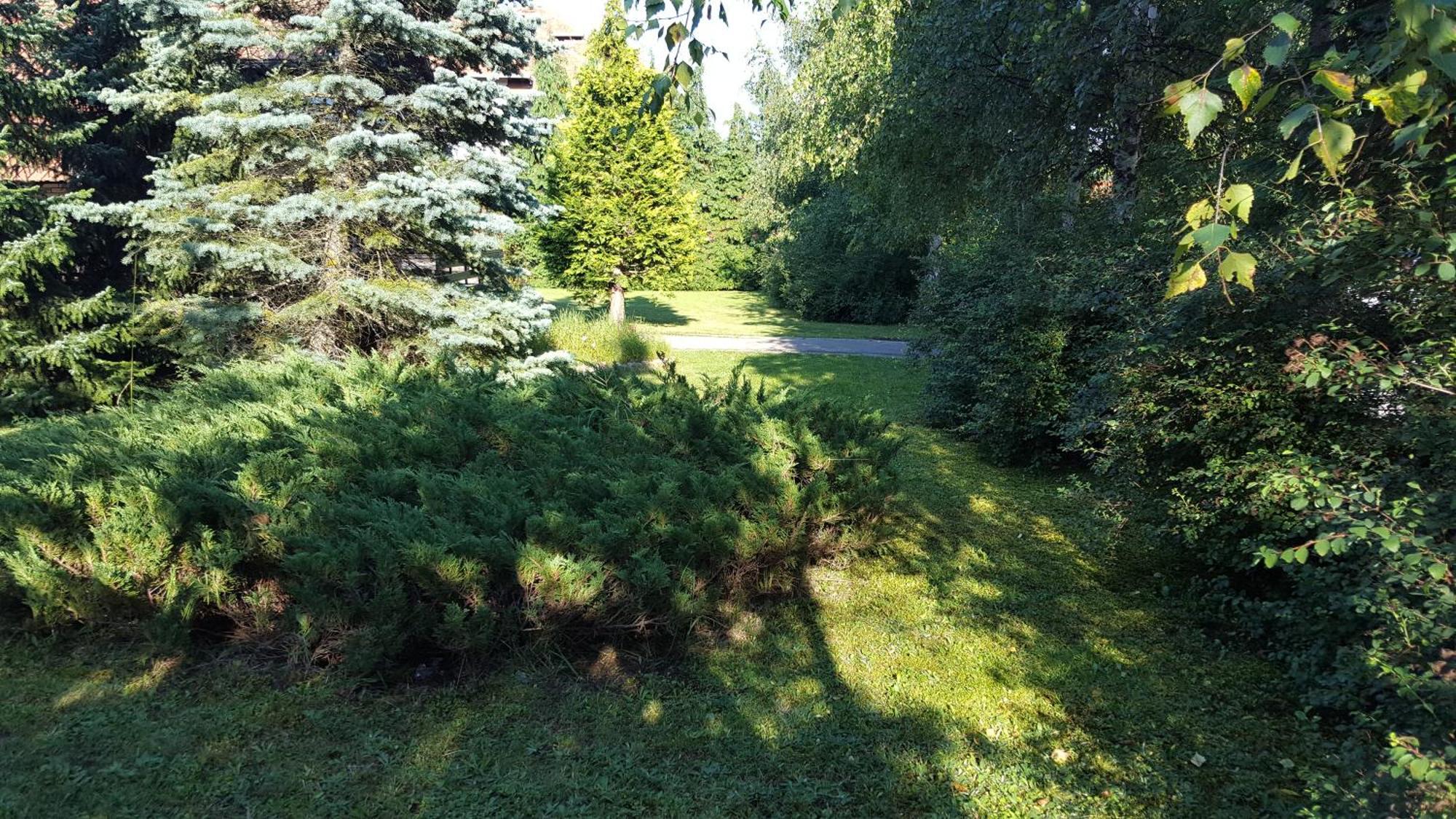 Holiday Home Vila Tejic Златибор Экстерьер фото